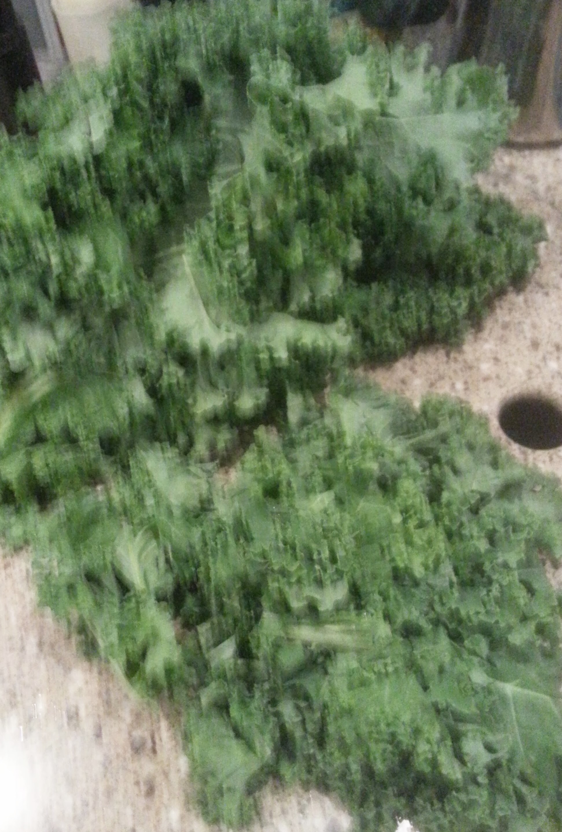 kale