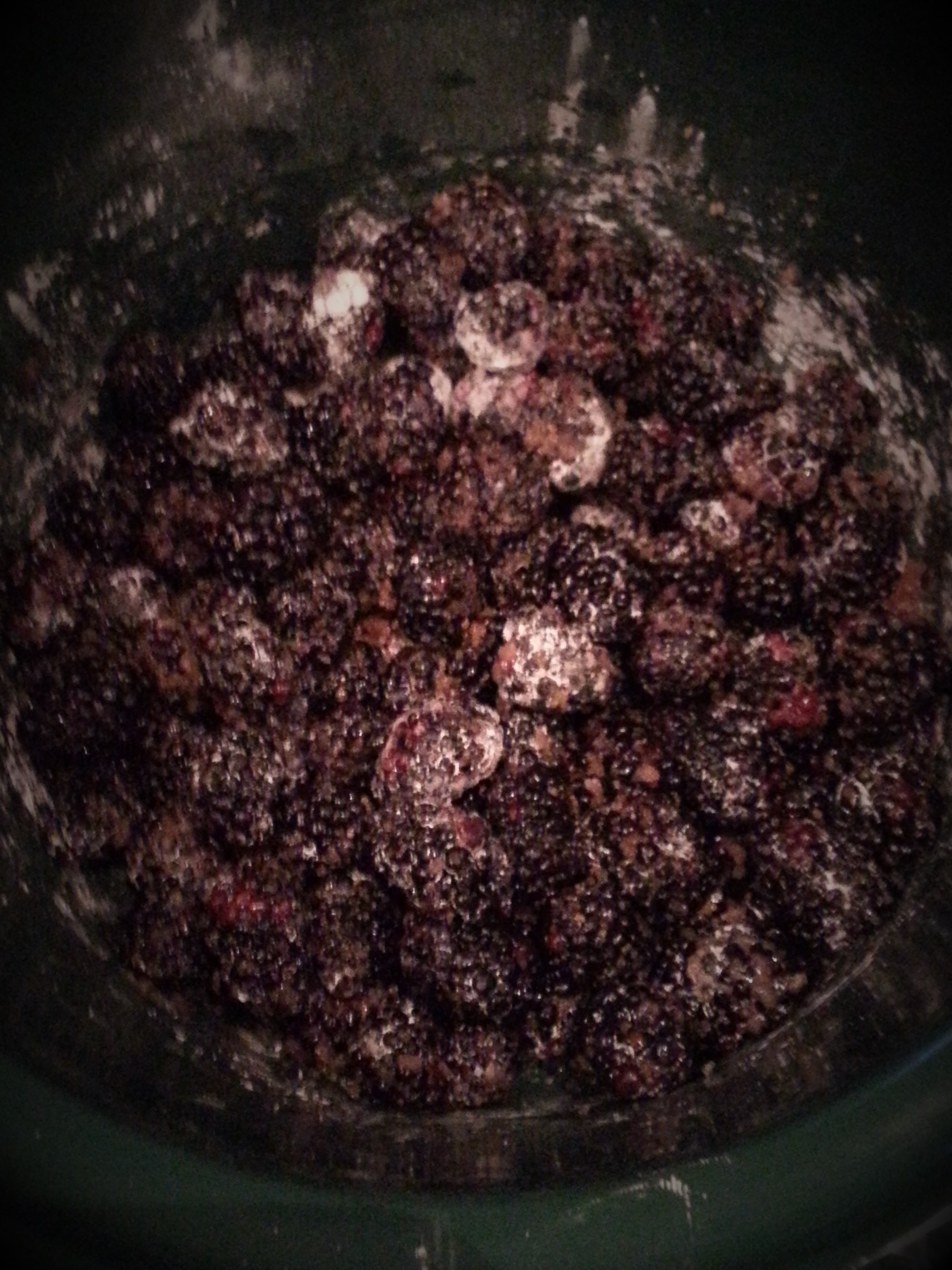 blackberry coated