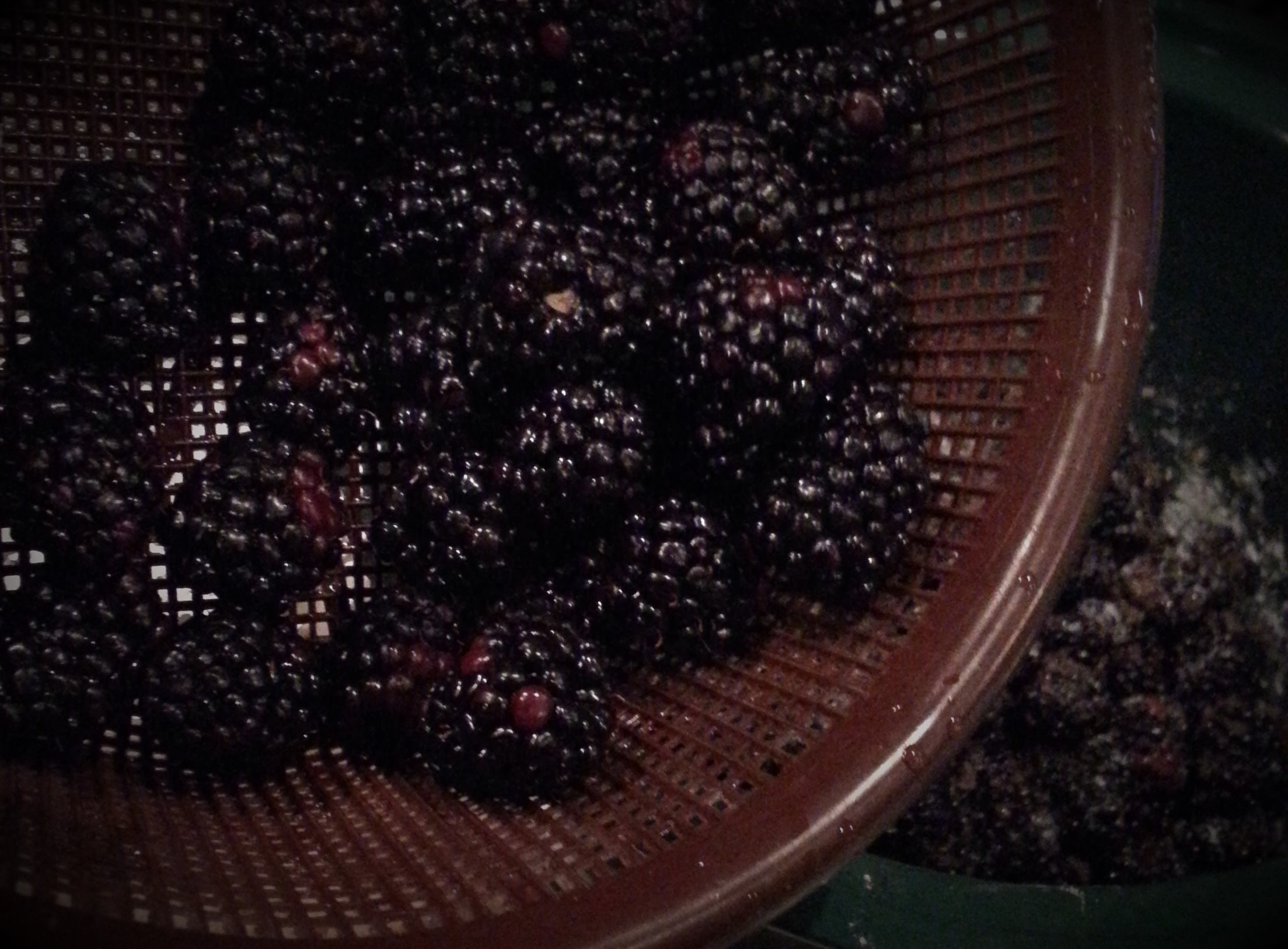 blackberry