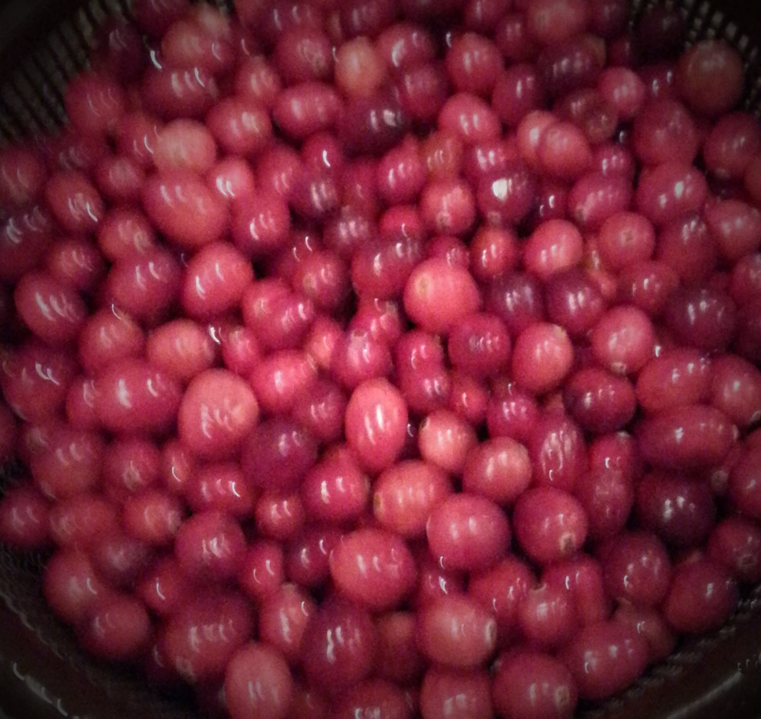 cranberries